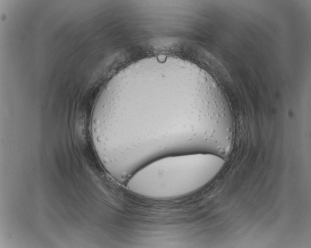 X0000065980698200603030930