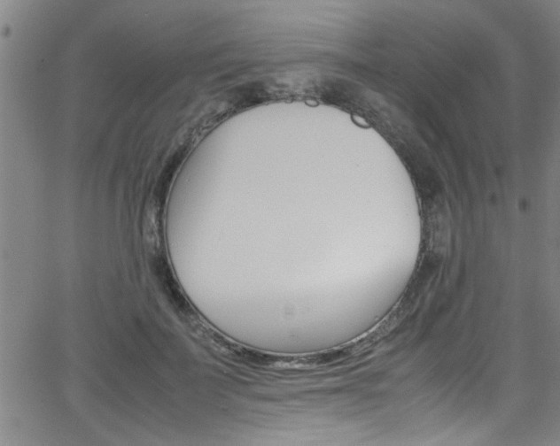 X0000065980699200603030930