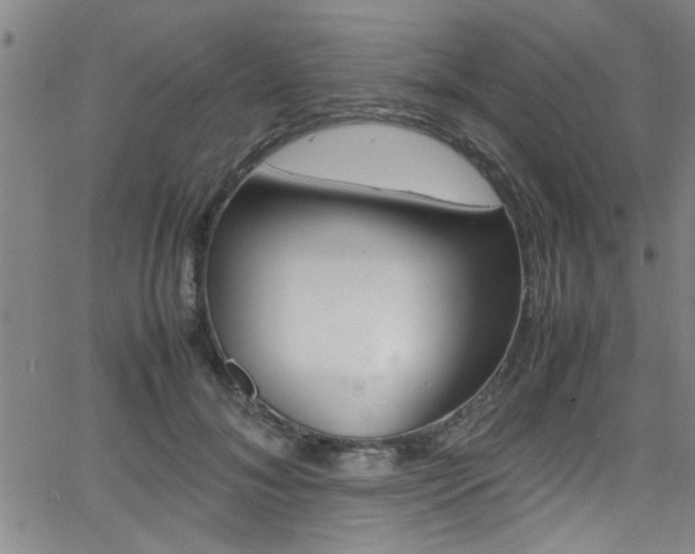 X0000065980700200603030930