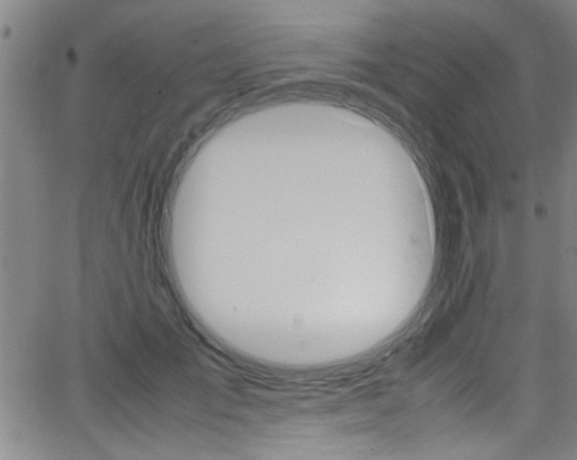 X0000065980701200603030930