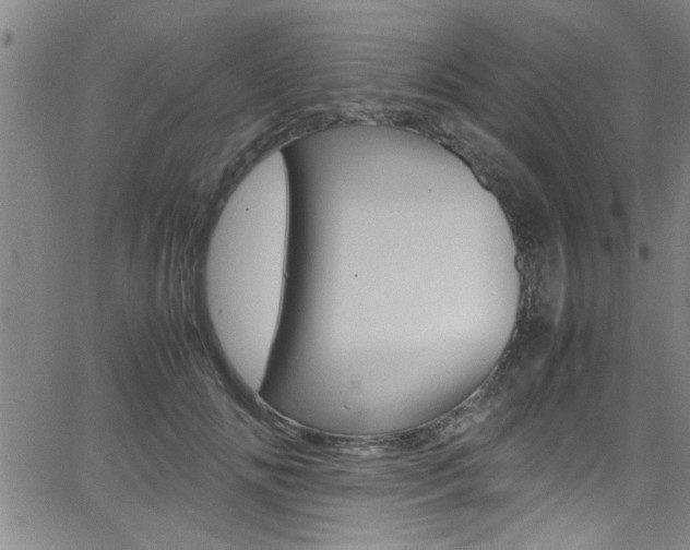 X0000065980702200603030930