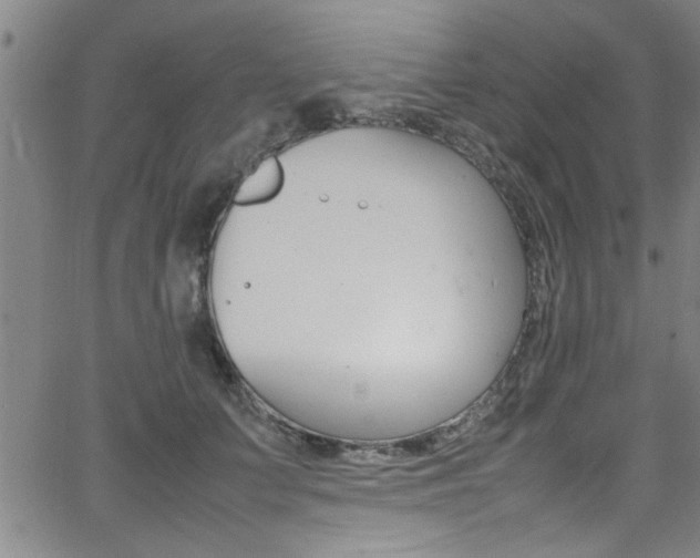 X0000065980703200603030930