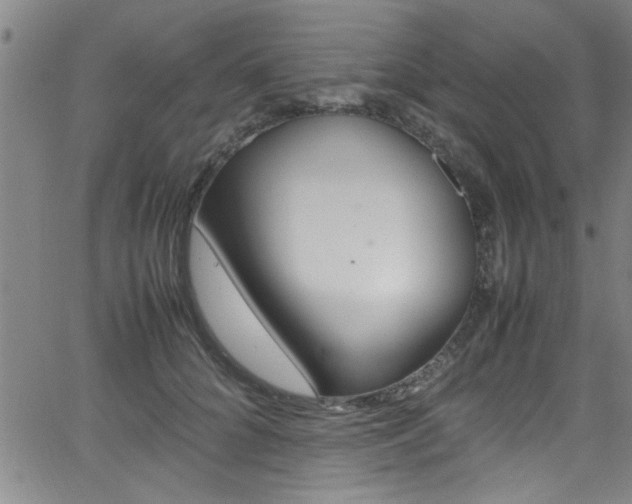 X0000065980704200603030930