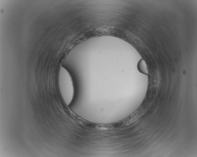 X0000065980706200603030930