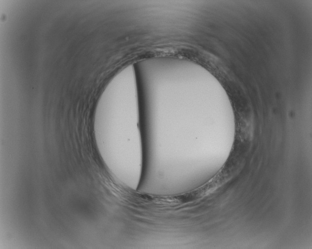 X0000065980707200603030930