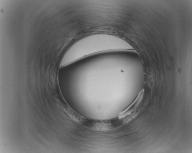 X0000065980708200603030930