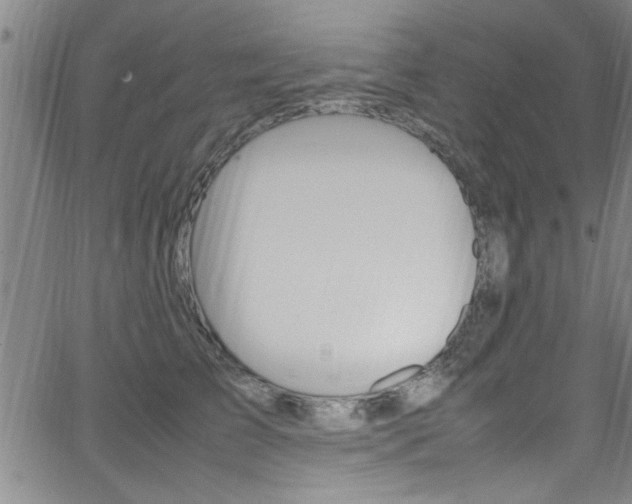 X0000065980709200603030930