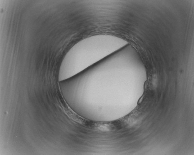 X0000065980710200603030930