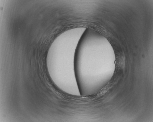 X0000065980711200603030930