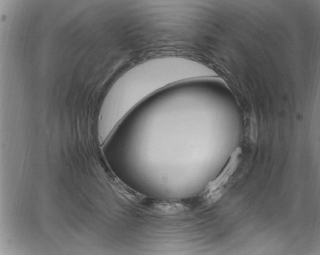 X0000065980712200603030930