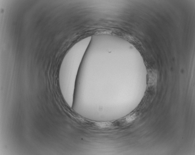 X0000065980713200603030930