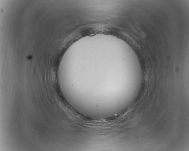 X0000065980715200603030930