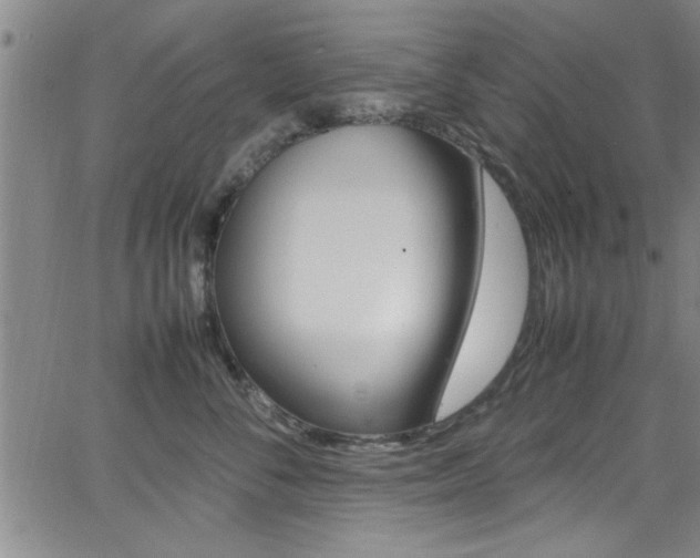 X0000065980716200603030930