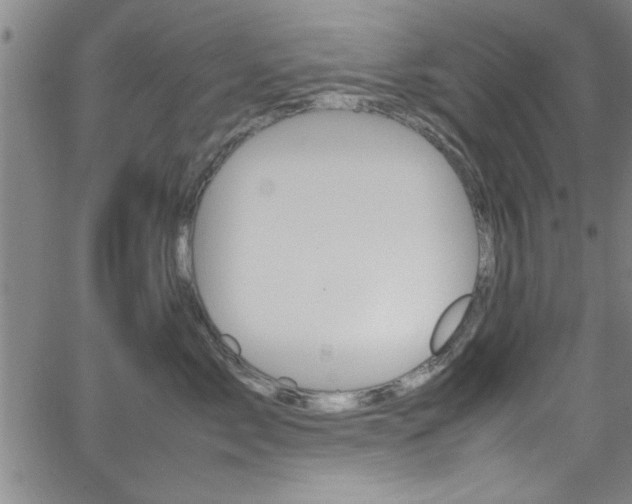 X0000065980717200603030930