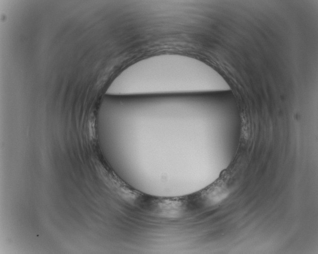 X0000065980718200603030930