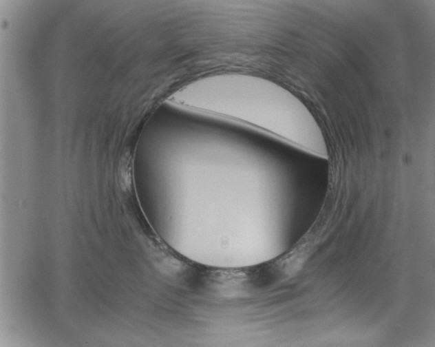 X0000065980719200603030930