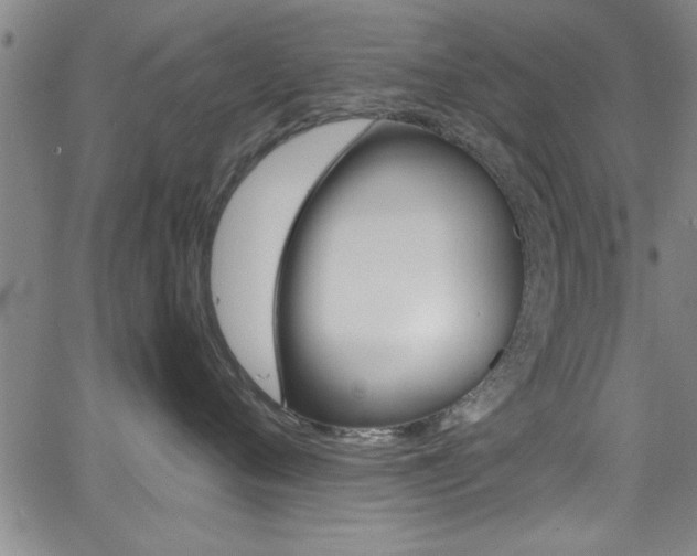 X0000065980720200603030930