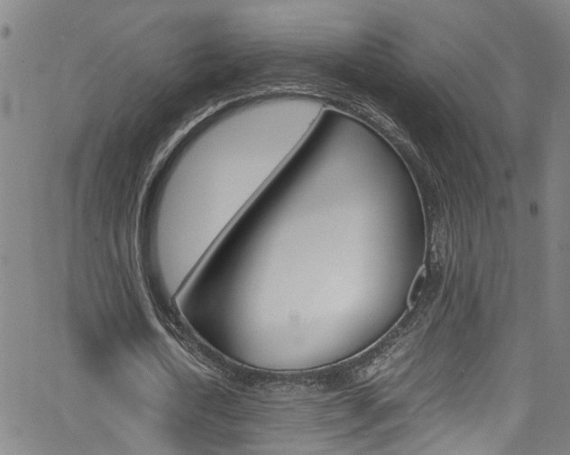 X0000065980722200603030929