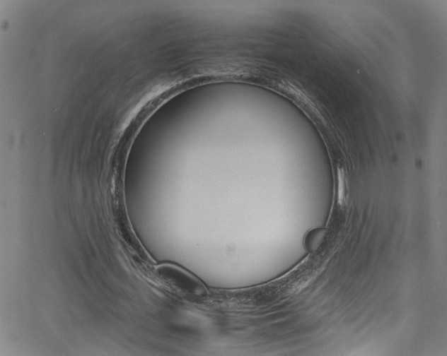 X0000065980723200603030929