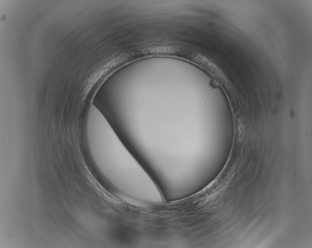 X0000065980725200603030929