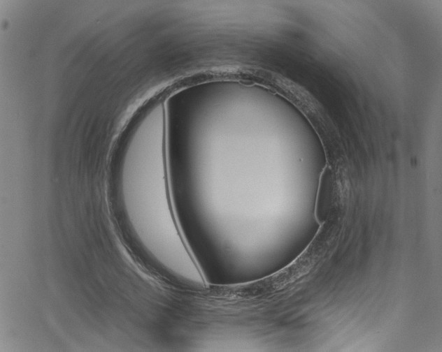 X0000065980728200603030929