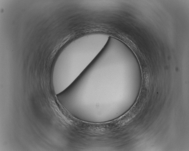 X0000065980729200603030929