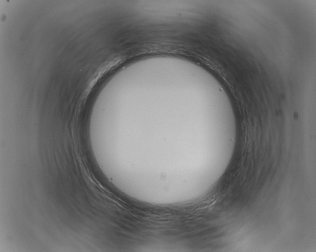 X0000065980731200603030929