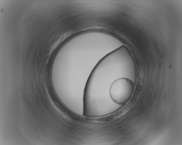 X0000065980734200603030929