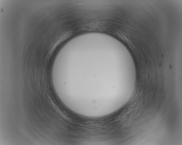 X0000065980735200603030929