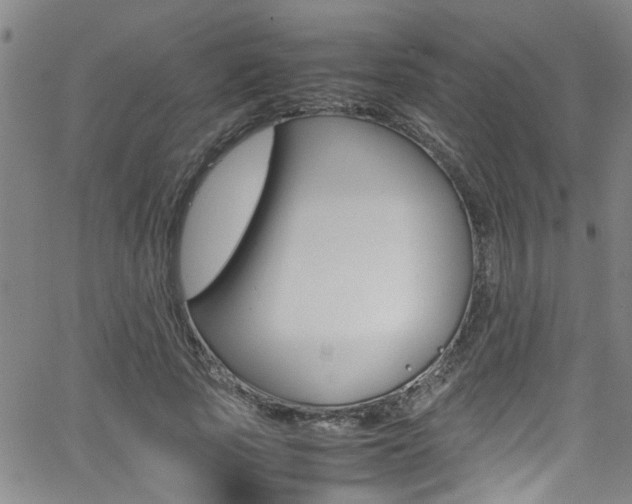 X0000065980737200603030929