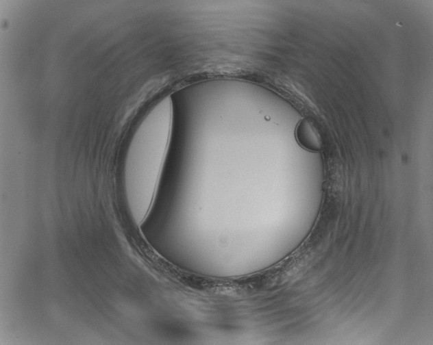 X0000065980738200603030929