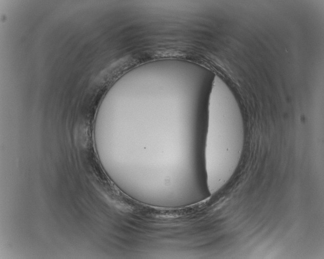 X0000065980741200603030929