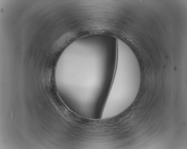 X0000065980742200603030929