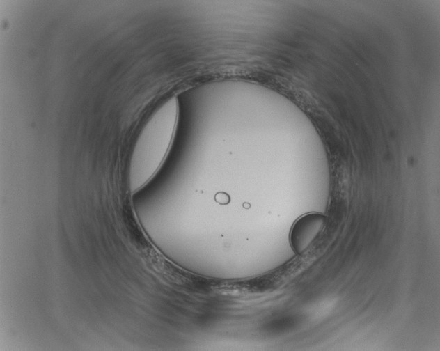 X0000065980746200603030929