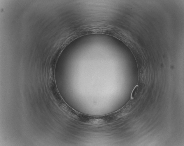 X0000065980748200603030929