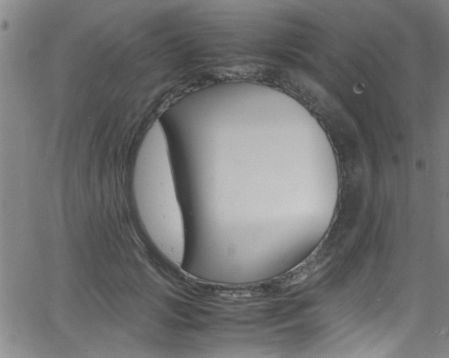 X0000065980749200603030930