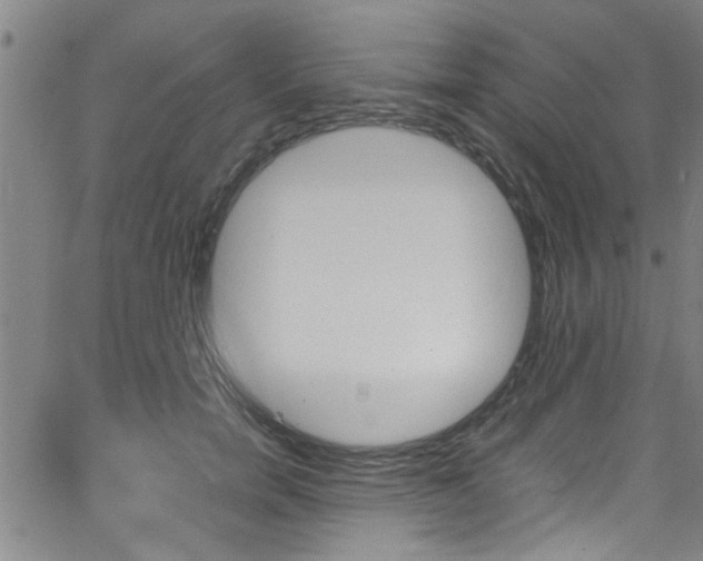 X0000065980750200603030930