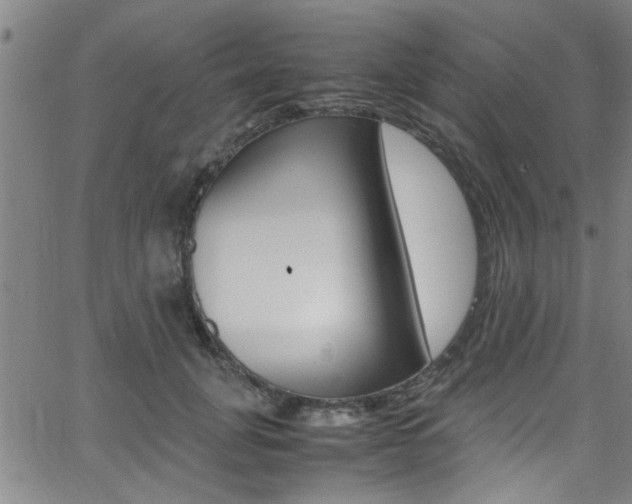 X0000065980751200603030930