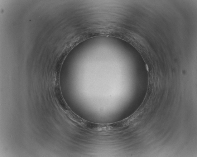 X0000065980752200603030930