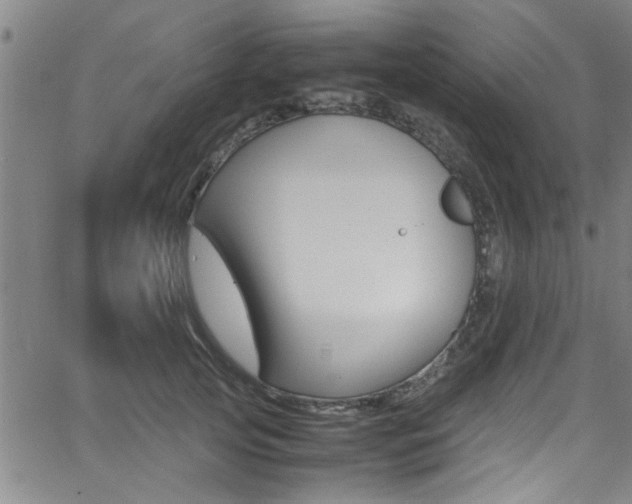 X0000065980753200603030930