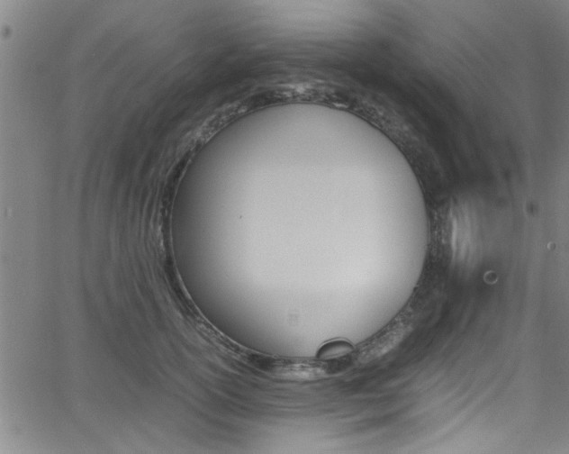 X0000065980754200603030930