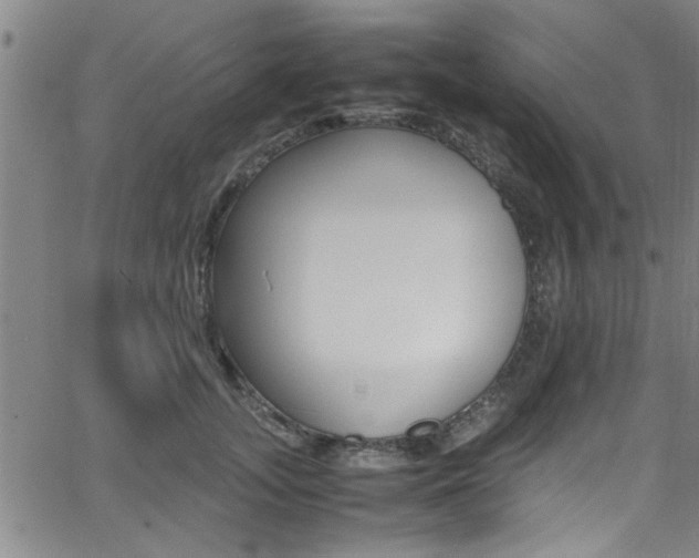 X0000065980755200603030930