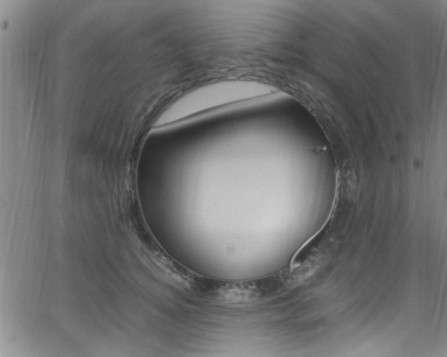 X0000065980756200603030930