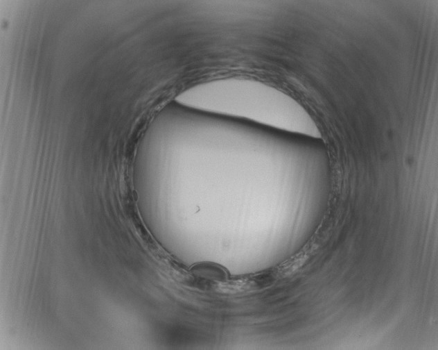 X0000065980757200603030930