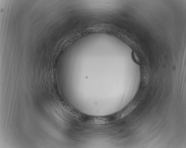 X0000065980758200603030930