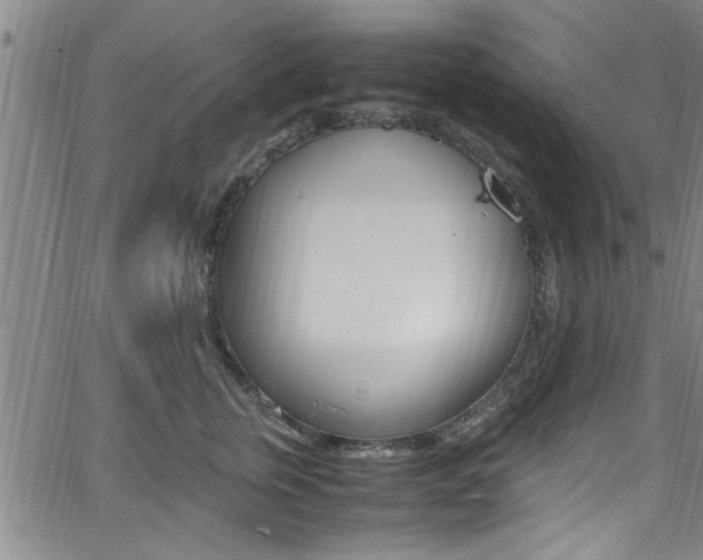 X0000065980759200603030930