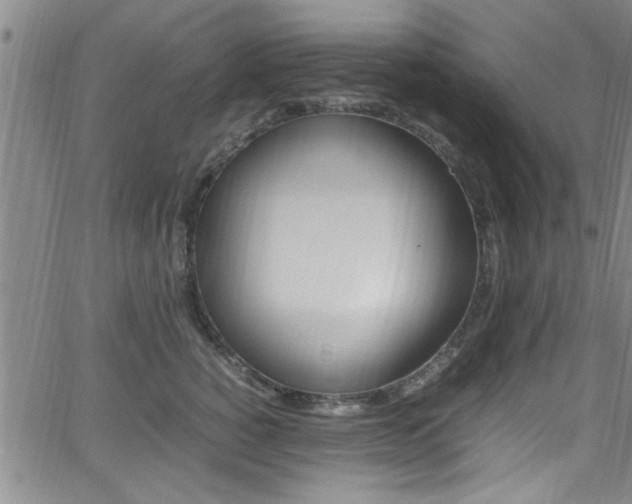 X0000065980760200603030930