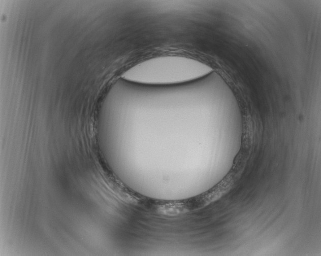 X0000065980761200603030930