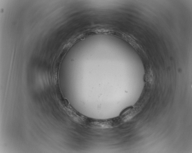 X0000065980763200603030930