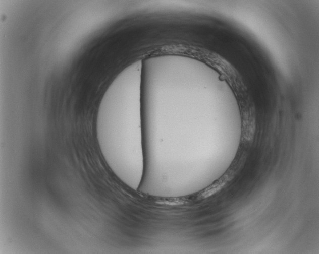 X0000065980765200603030930